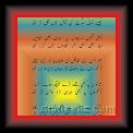 Ghazal 01 * 22.03.2008 * 341 x 595 * (30KB)